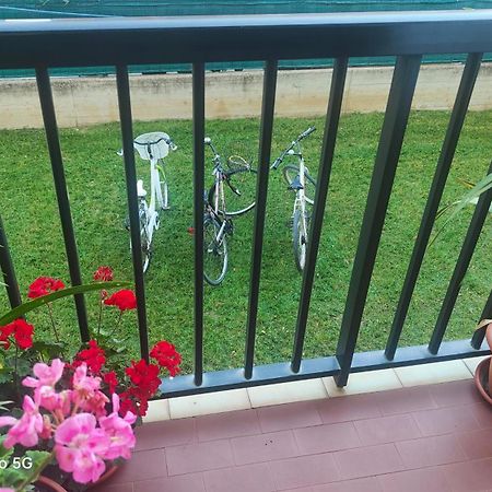Appartamento Ani Porto SantʼElpidio Esterno foto